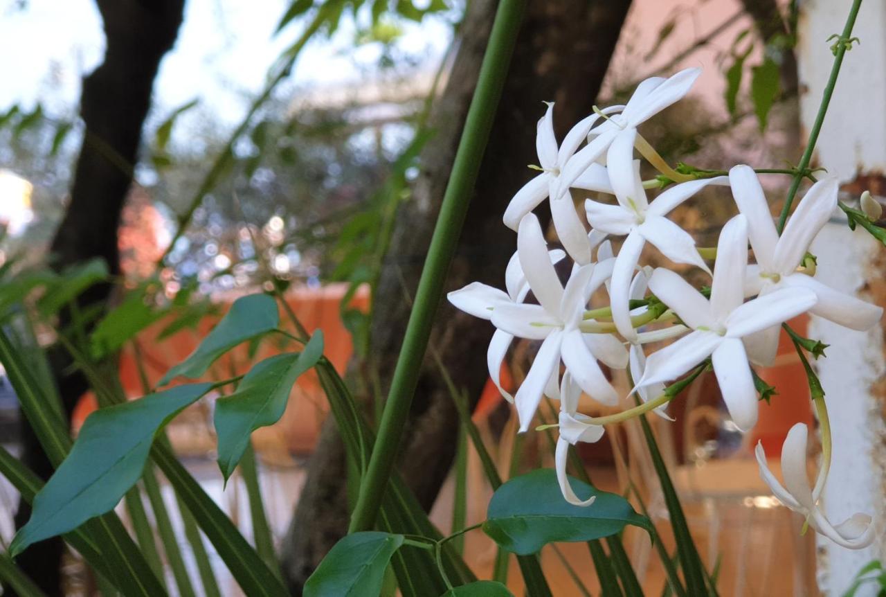 Albergo Bellavista Limone sul Garda Bagian luar foto
