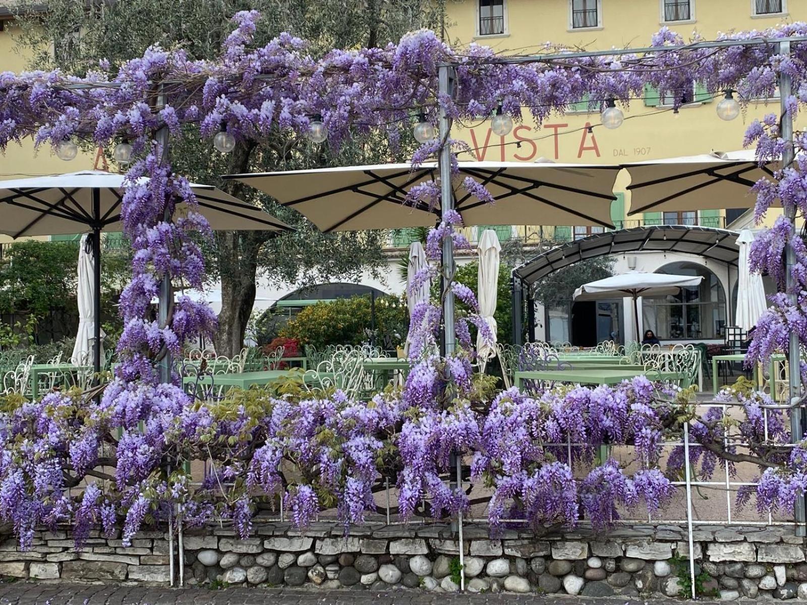 Albergo Bellavista Limone sul Garda Bagian luar foto
