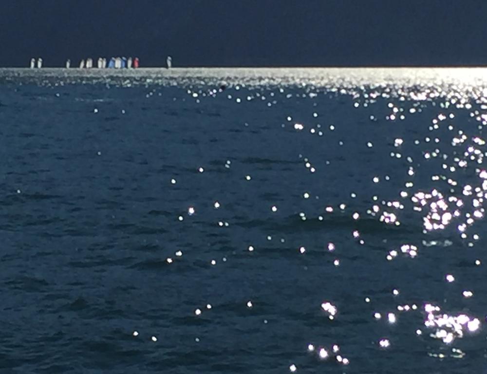 Albergo Bellavista Limone sul Garda Bagian luar foto